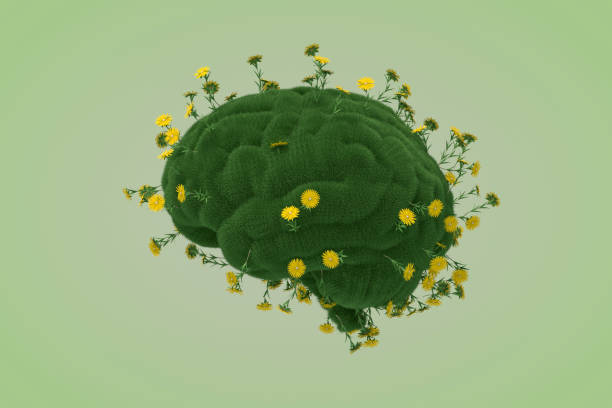 Person resting eyes during a mindful break